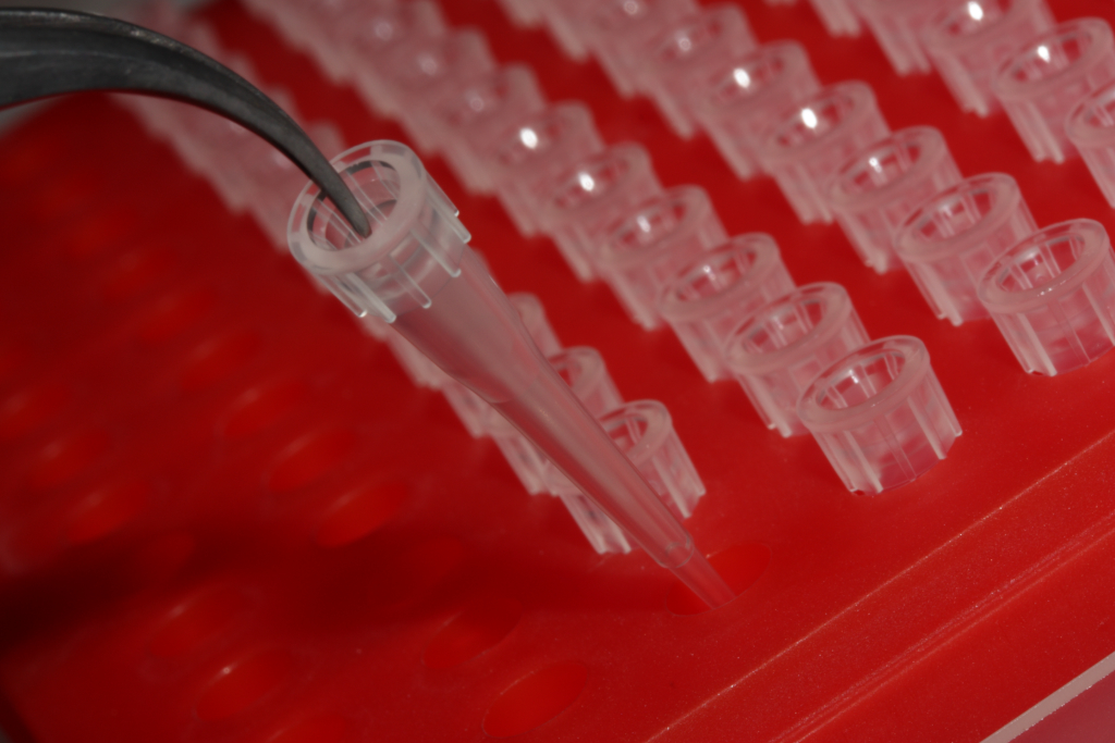 Pipette tips.