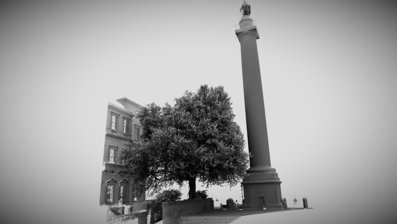 3D model of a London plane tree and the Duke of York statue
