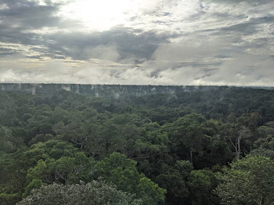 Amazon skyline