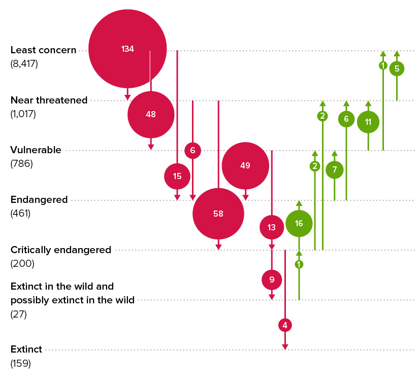 Past And Future Decline And Extinction Of Species | Royal Society