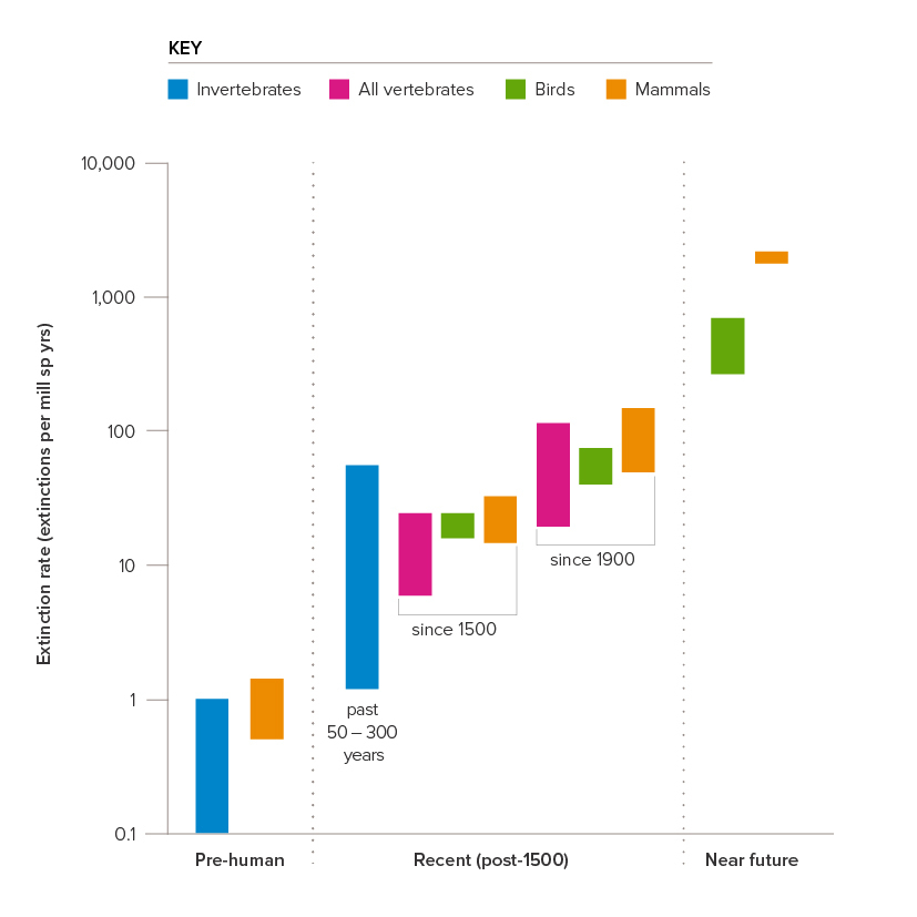 Past and future decline and extinction of species | Royal Society Past and future decline and extinction of species | Royal Society