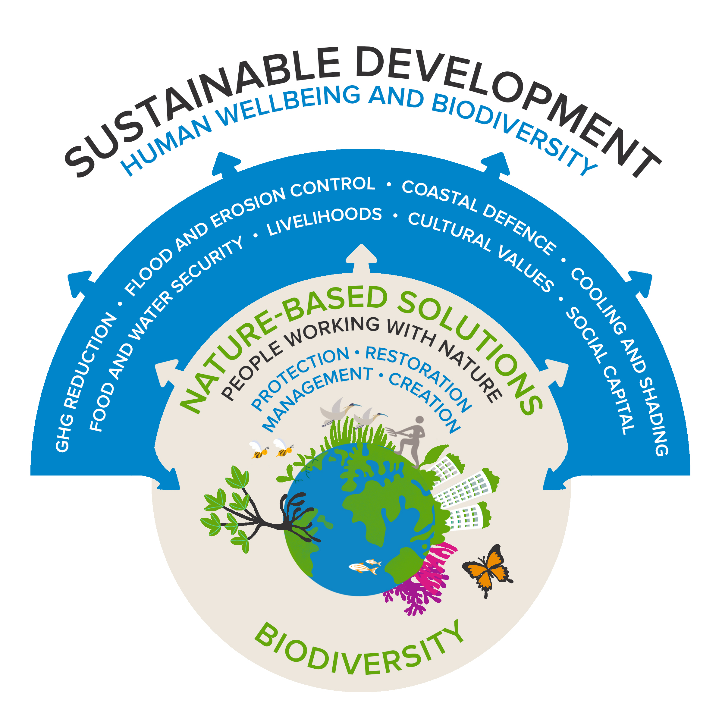 How does biodiversity contribute to the economy form 2