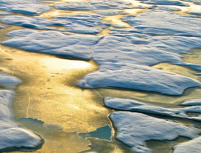 sea ice