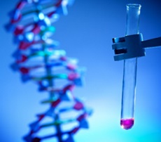 DNA model and test tube