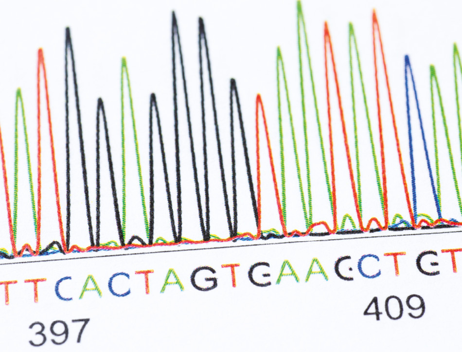 DNA sequencing results