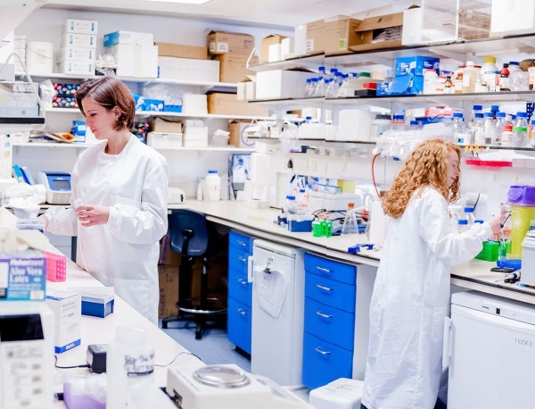 Leading the way: Increasing diversity in the scientific workforce