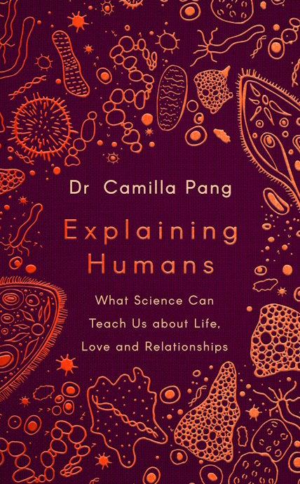 book cover of Explaining Humans