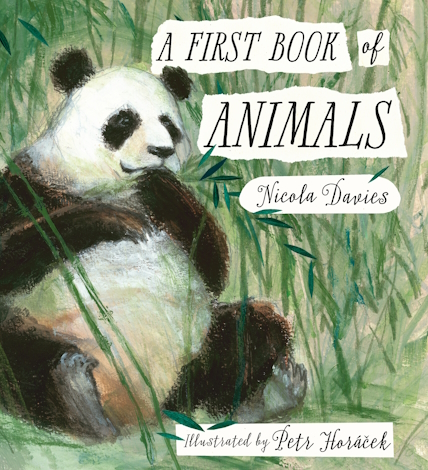 Book cover of A First Book of Animals