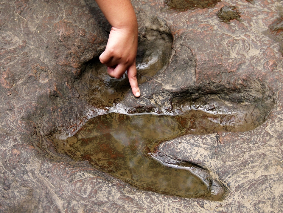 Dinosaur track with a child’s finger for scale. Credit: Rattana/Shutterstock.com