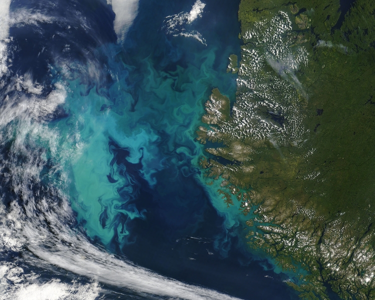 Photo of a dark blue ocean with light blue swirling patterns. This image is of a phytoplankton bloom captured by the Moderate Resolution Imaging Spectroradiometer (MODIS) on NASA’s Terra satellite on August 1, 2004.