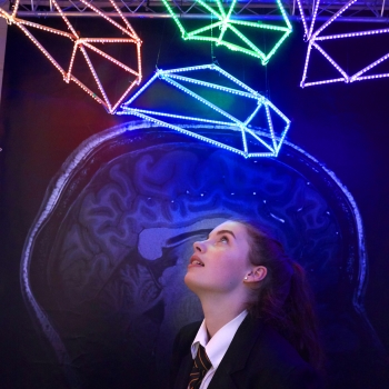 A student exploring an exhibit at the Summer Science Exhibition