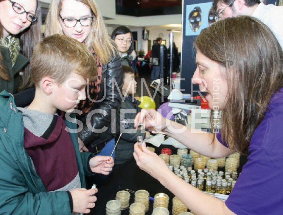 Summer Science Exhibition: Dr Chloe James taking a swab of bacteria from the cheek of a child to produce a 'bioselfie' 