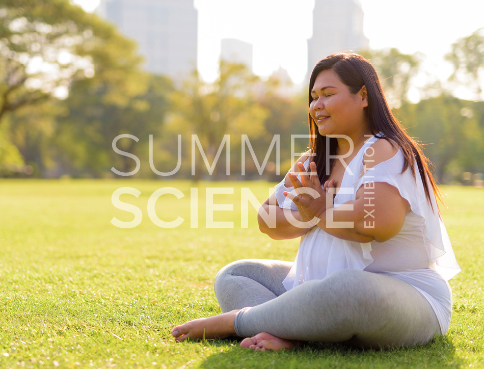 Summer Science Exhibition: a woman doing yoga in the park