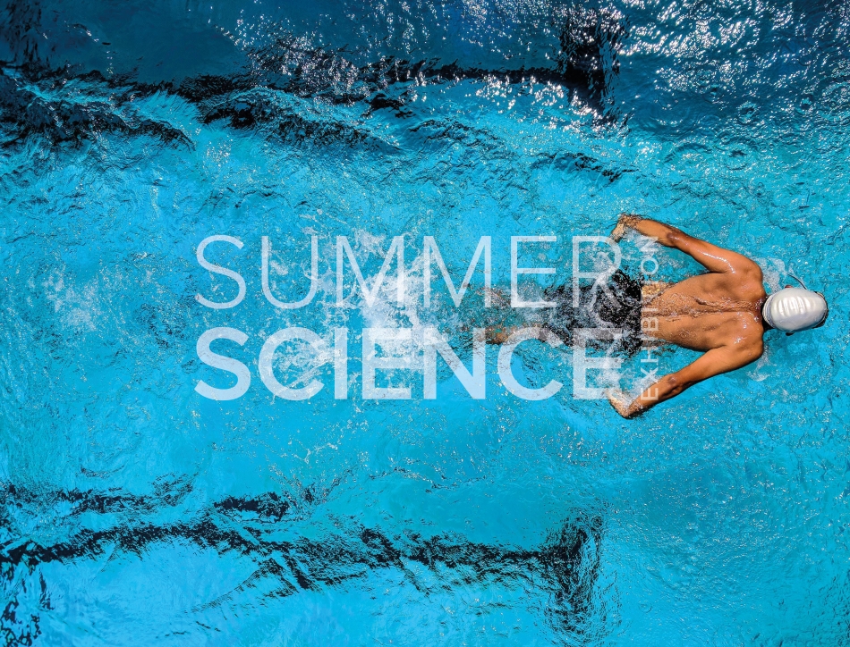 Summer Science Exhibition:  an aerial shot of a man swimming in butterfly stroke across a swimming pool