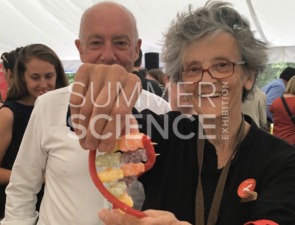 Summer Science Exhibition: woman holding up a model strand of DNA made out of sweets