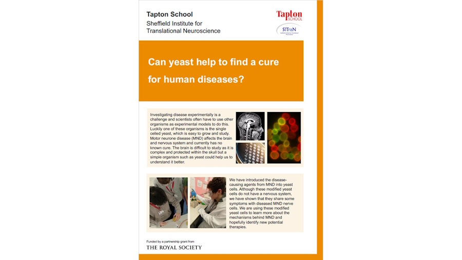 Tapton School
