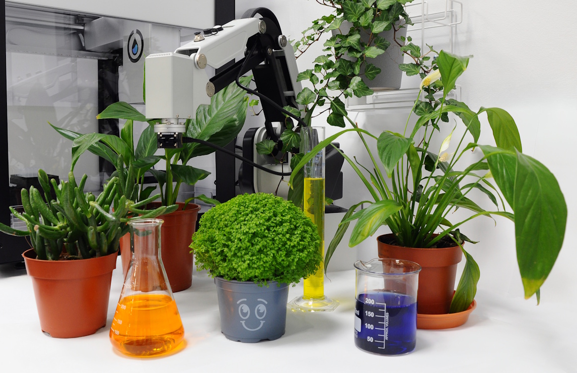 Plants and flasks in a laboratory