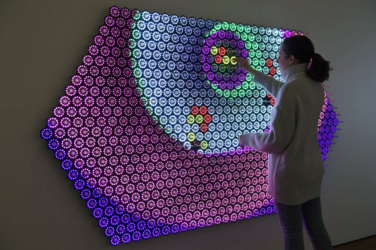 Person interacting with Quantum Jungle