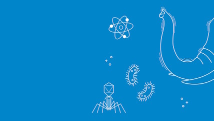 white illustration of elephant trunk and spider on blue background
