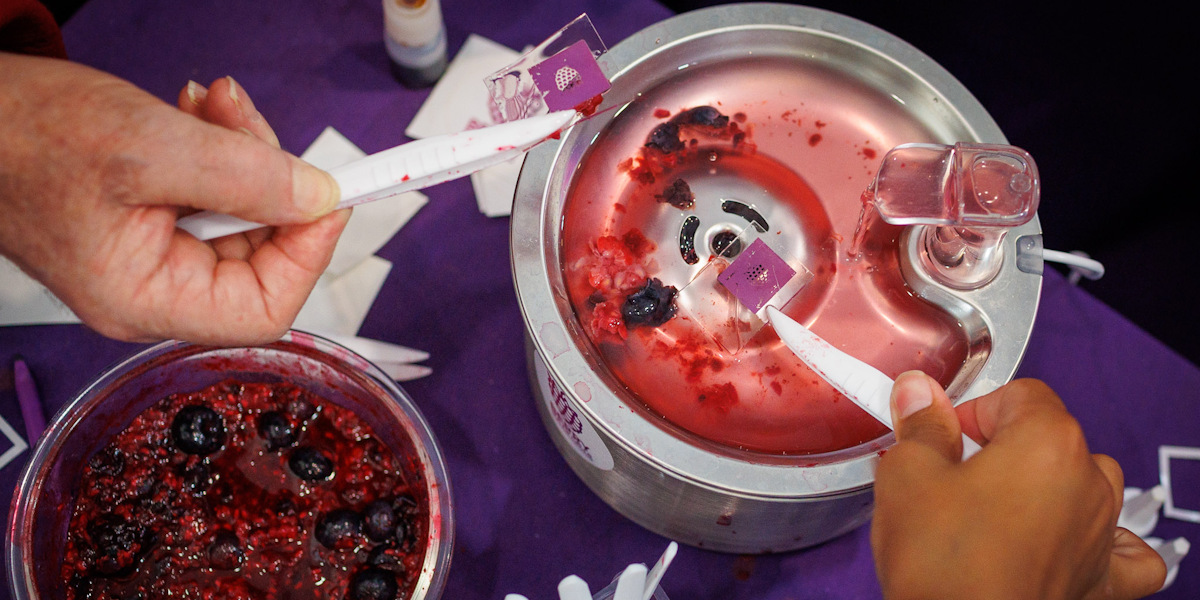 Two hands holding battery cells with tweezers with a bowl of berries