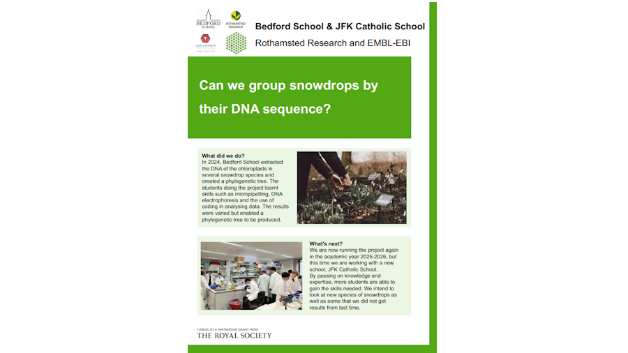 Bedford School and JFK Catholic School