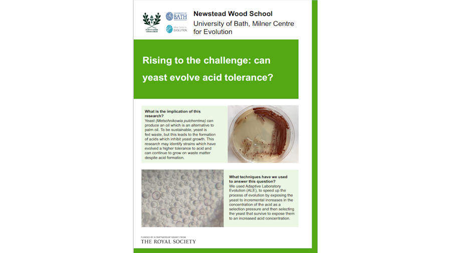 Newstead Wood School