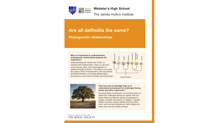 Webster's High School