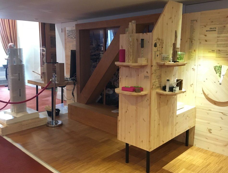 Timber towers of the future summer science exhibition stand