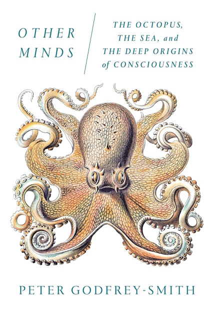 book cover of Other Minds