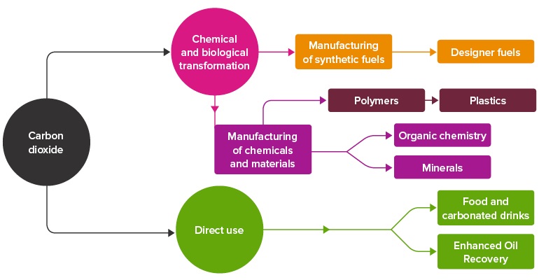 Flow chart showing carbon dioxide policies